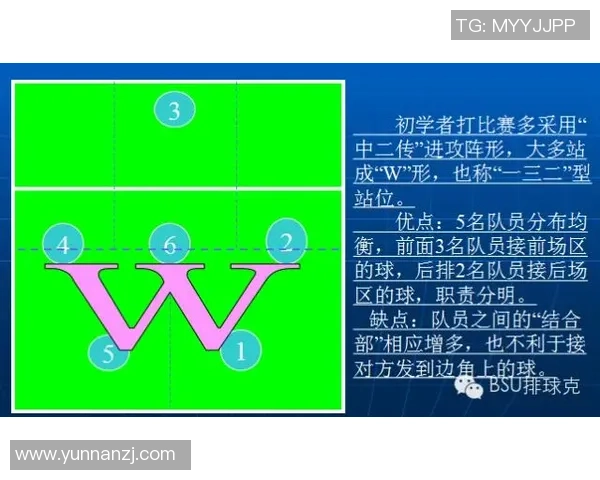 成都排球队反击战术解析与实战应用探讨
